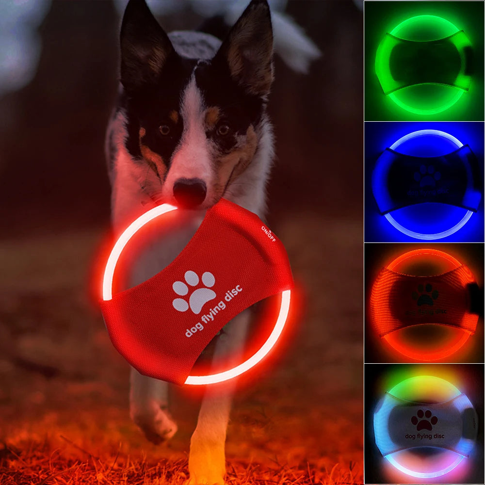 Dog Flying Discs Light