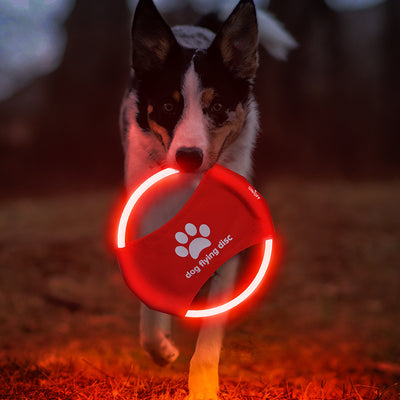 Dog Flying Discs Light